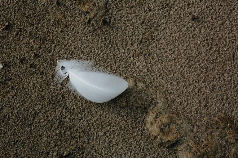 Land for sale selong belanak