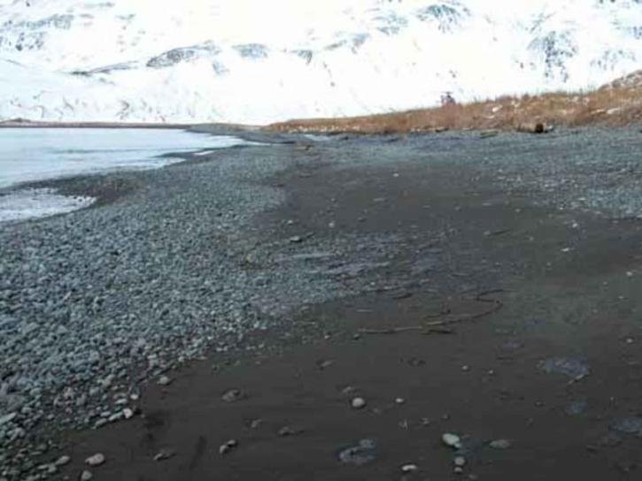 Kuta Beach Villas for Sale Lombok